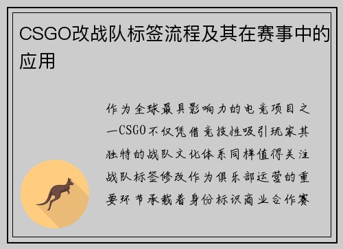 CSGO改战队标签流程及其在赛事中的应用